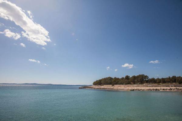 Apartman Franc S Vir Εξωτερικό φωτογραφία
