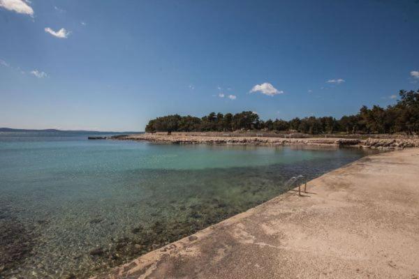 Apartman Franc S Vir Εξωτερικό φωτογραφία