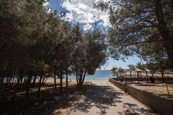 Apartman Franc S Vir Εξωτερικό φωτογραφία